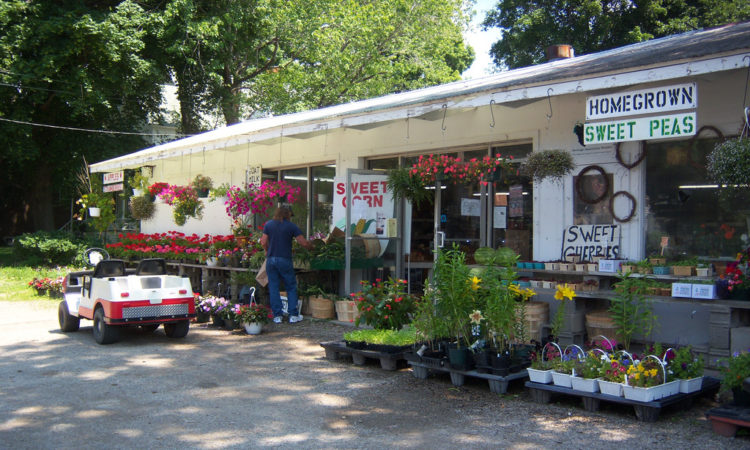 best nj farm stands